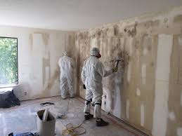 Best Mold Removal for HVAC Installations  in Mulberry, IN